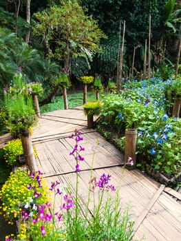 walk way in the garden