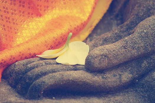 plumeria flower on ancient hand of buddha statue