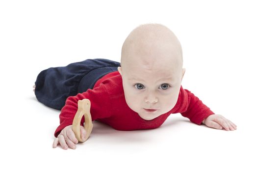 toddler crawling on floor with toy in hand. studio shot