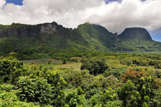 Image of the interior of the island of Moorea inthe French Polynesia with her exuberant vegetation