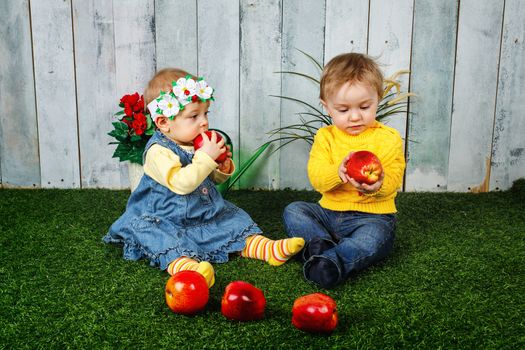 Little brother and sister having fun playing on the lawn with apples