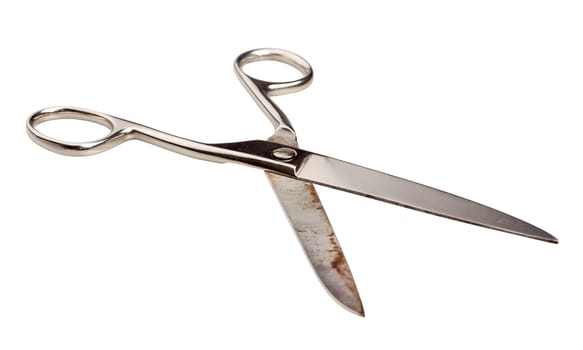 Old scissors on white background