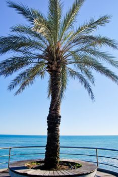 Among Arenzano and Cogoleto, Liguria, Italy
