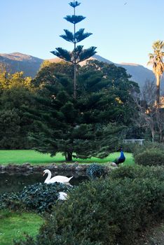 the park in Arenzano