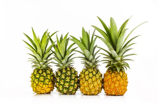 four pineapple close up, on white background, isolated