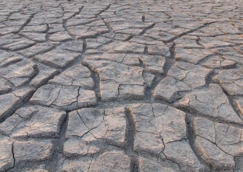 Dried ground the dry season for texture on the ground