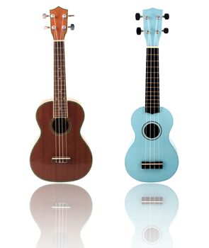 Ukulele guitar brown color and a white background