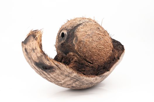 The burned coconut strange to see ������on white background