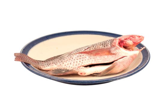 One tilapia fish on a plate and white background