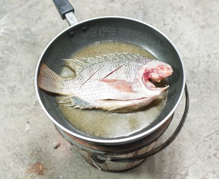 Tilapia fresh fry in a hot pan