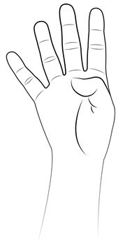 four fingers up, hand vector