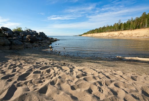 View of  beach,  forest and  trees on  sand, Russia.