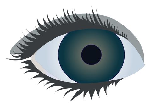 blue eye - vector illustration / eps10