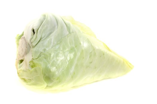 fresh pointed cabbage on a light background