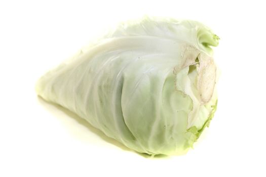 fresh green pointed cabbage on a light background