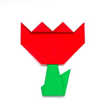 origami tulip on white background