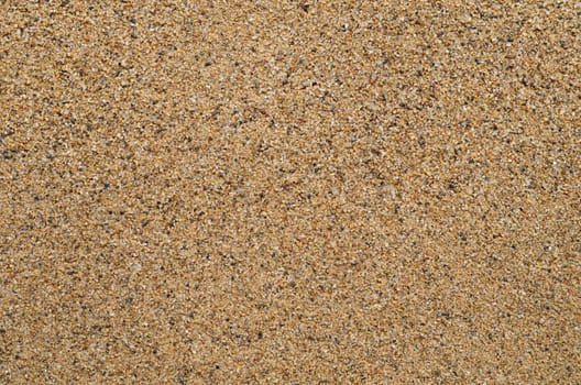 texture of sand background