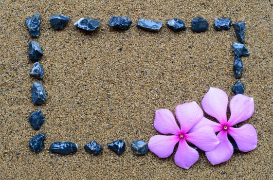 border frame with gravel and purple flower on the beach