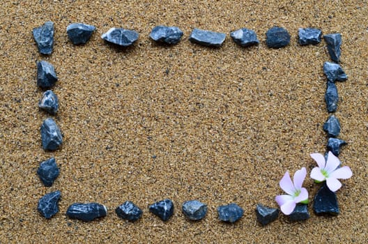 border frame with gravel and pink flower on the beach