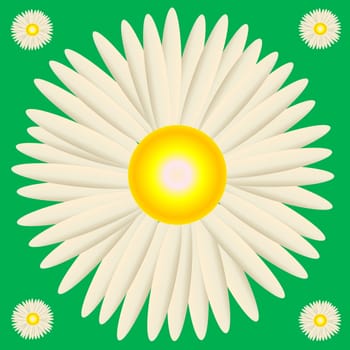 Big white daisy surrounded by small ones in green background