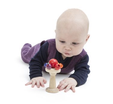 toddler lokking at toy, studio shot isolated on white background