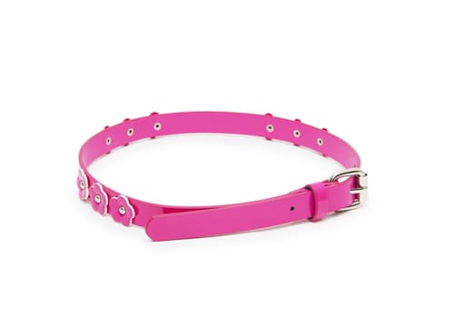 belt pink color isolated