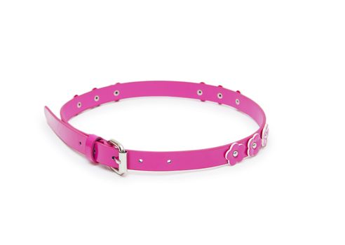 belt pink color isolated