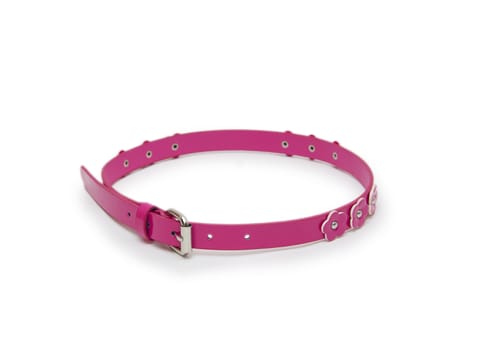 belt pink color isolated 