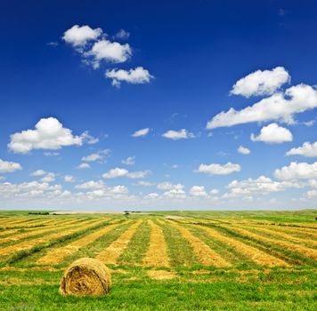 Harvested wheat on farm field with hay bale in Saskatchewan, Canada