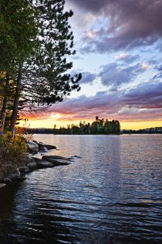 Dramatic sunset and pines at Lake of Two Rivers in Algonquin Park, Ontario, Canada