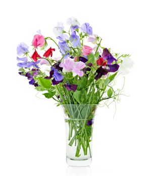 Bouquet of colorful sweet pea flowers in glass vase