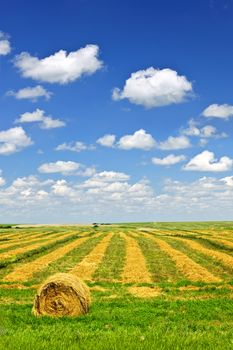 Harvested wheat on farm field with hay bale in Saskatchewan, Canada