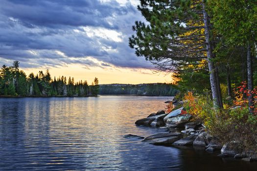 Dramatic sunset and pines at Lake of Two Rivers in Algonquin Park, Ontario, Canada