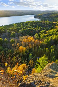 Lake and fall forest with colorful trees from above in Algonquin Park, Canada