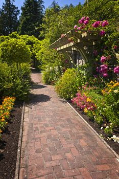 Lush summer garden with paved path and blooming flowers