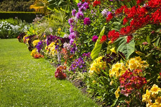 Beautiful bright colorful flower garden with various flowers