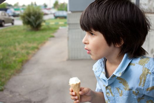 little boy in blue shirt with a ice-cream on open air