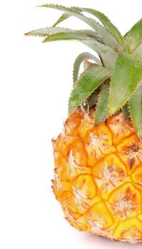 Half of Fresh Sweet Pineapple closeup on white background
