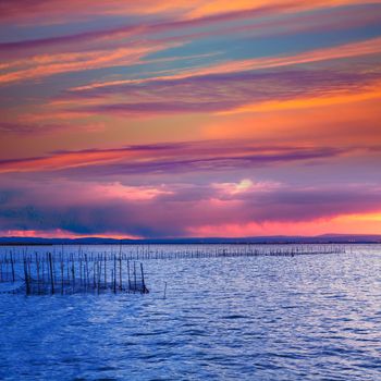 Albufera sunset lake park in Valencia el saler colorful sky of Spain