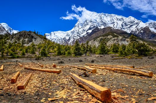 Wood timber in Himalayas mountains landscape, Annapurna area, Nepal