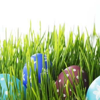 Easter eggs in grass isolated on white background