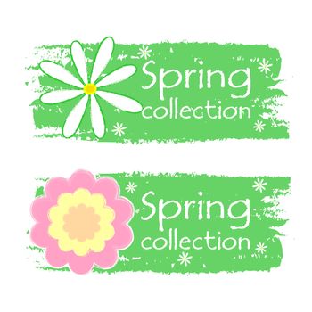 spring collection banners - text in green drawn labels with white and pink daisy flowers, business shopping seasonal concept