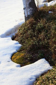 Snow melting on sunny spring day