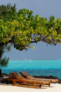 Two deck-chairs under a tree at the seashore in Borabora