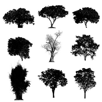 Set of silhouettes of trees