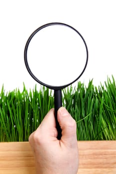 Loupe in a Hand on the Grass Isolated on the White Background