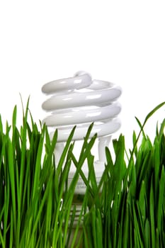 Energy saving Lamp in the Grass on the White Background