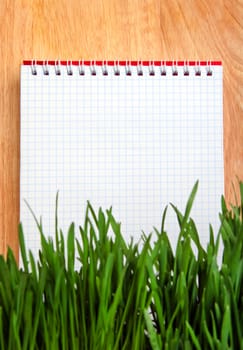 Notepad behind the Grass on the Wooden Background