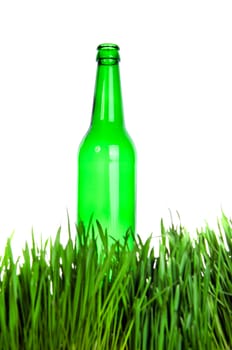 Green Bottle in the Grass Isolated on the White Background