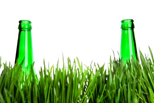 Two Green Bottles in the Grass Isolated on the White Background